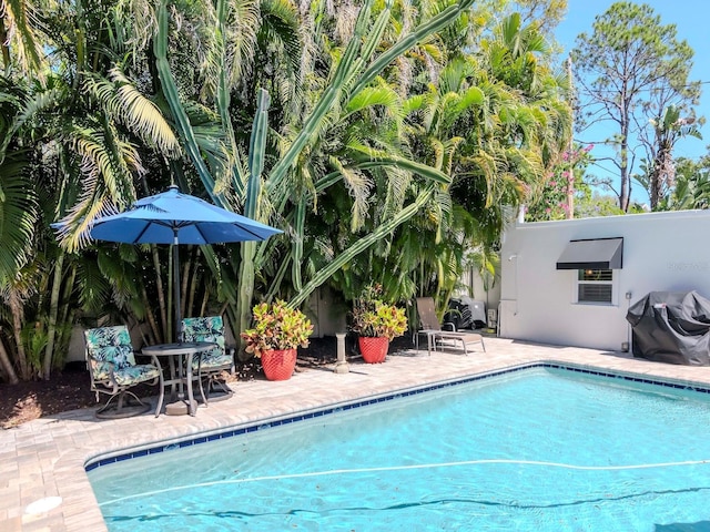 outdoor pool with a patio area and a grill