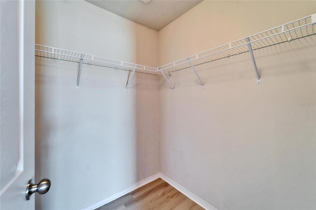 spacious closet featuring light wood-style floors