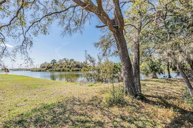 property view of water