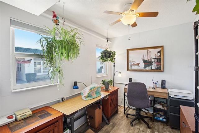 office featuring plenty of natural light, a ceiling fan, and wood finished floors