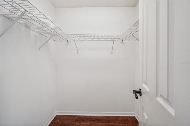 spacious closet featuring wood finished floors