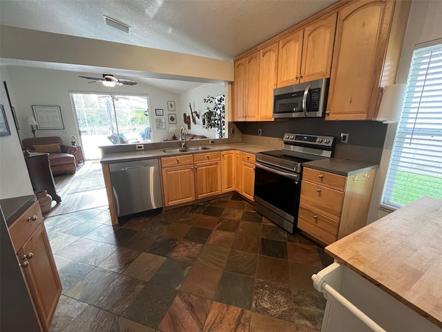 kitchen with open floor plan, a peninsula, vaulted ceiling, stainless steel appliances, and a sink