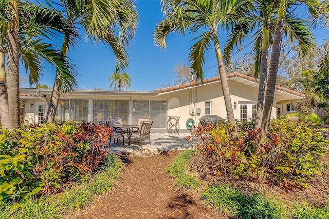 rear view of house featuring a patio and stucco siding