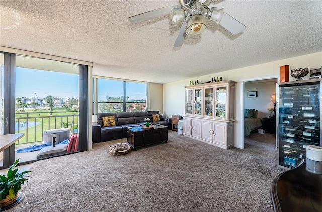 living room featuring carpet floors and a textured ceiling