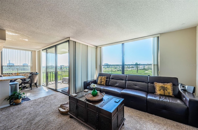 carpeted living room with a textured ceiling