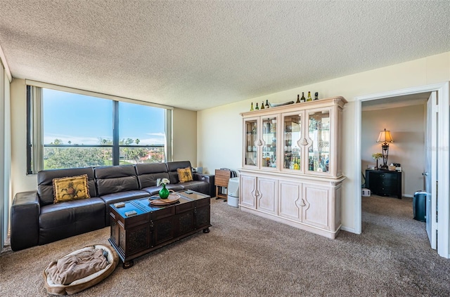 living room with carpet floors and a textured ceiling