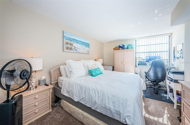 bedroom with carpet floors