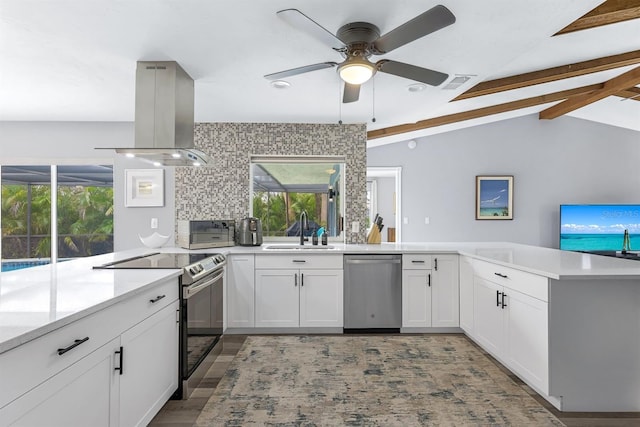 kitchen with a peninsula, island exhaust hood, appliances with stainless steel finishes, and a sink