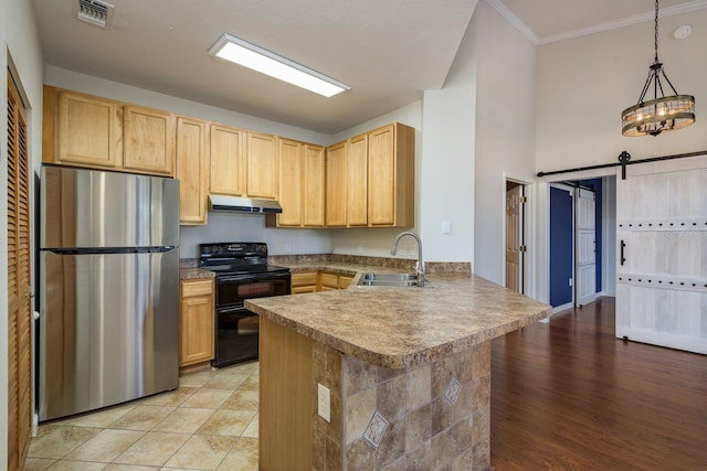 kitchen with electric range, a barn door, freestanding refrigerator, under cabinet range hood, and a sink