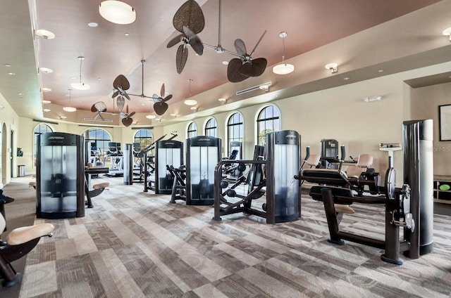 exercise room featuring a ceiling fan, a raised ceiling, and carpet flooring