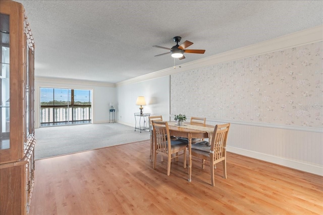 dining area with a textured ceiling, a wainscoted wall, a ceiling fan, light wood finished floors, and crown molding