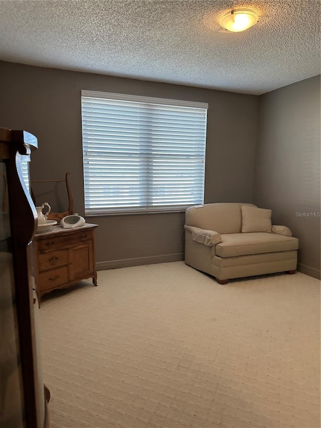6425 Shoreline Dr Unit 10506, Saint Petersburg, FL 33708 - living area with a textured ceiling and light colored carpet