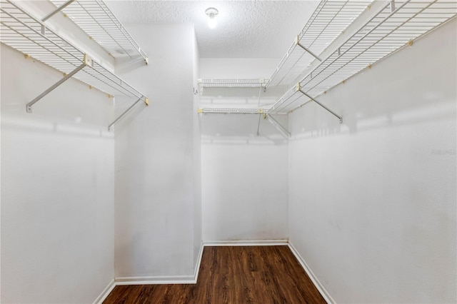 spacious closet with dark wood-type flooring