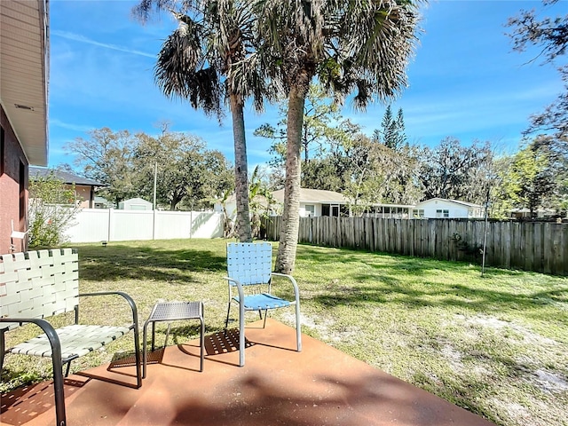 view of yard featuring a patio area and a fenced backyard