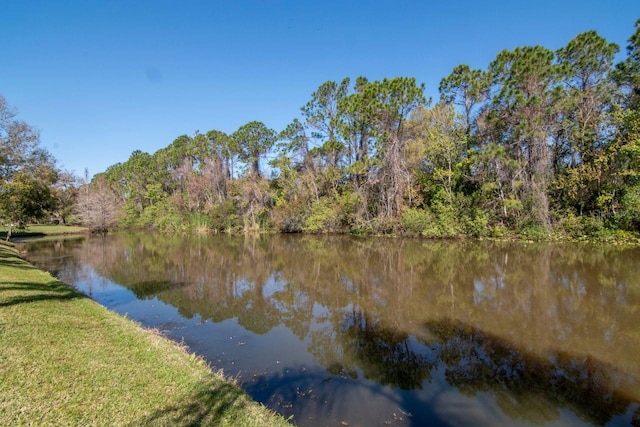 property view of water with a view of trees