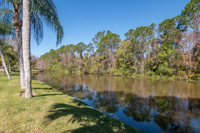 property view of water with a forest view