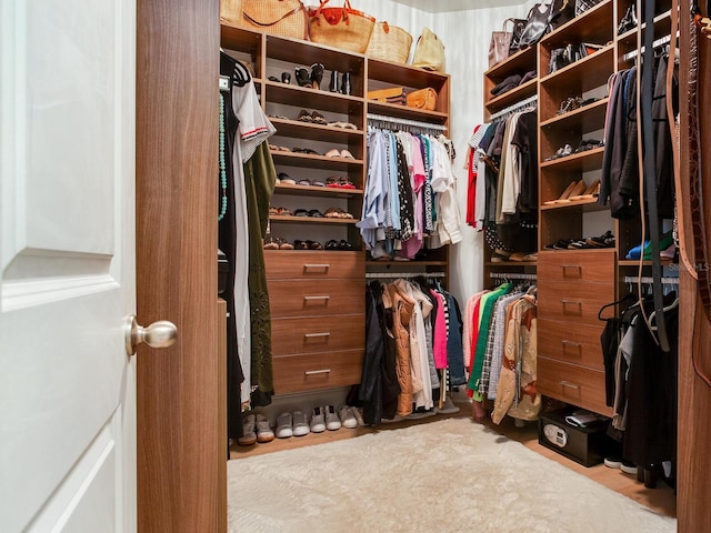 view of spacious closet