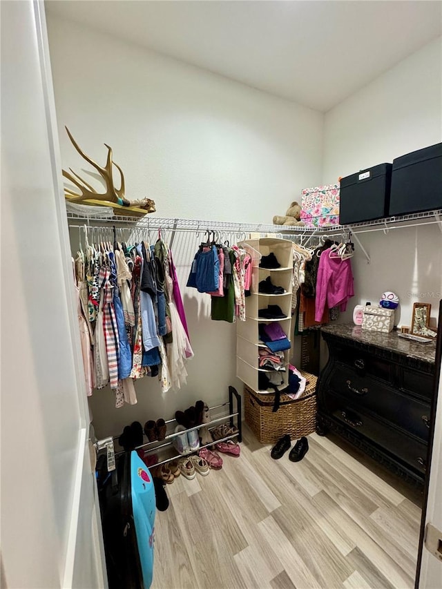 spacious closet featuring light wood-type flooring