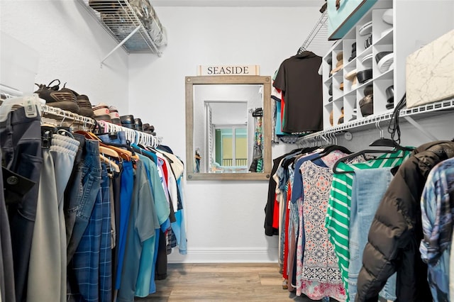 spacious closet with wood finished floors