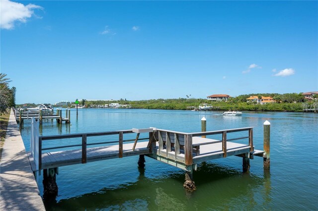 dock area with a water view