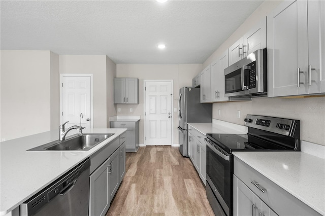 kitchen featuring stainless steel appliances, a sink, light wood finished floors, and gray cabinetry