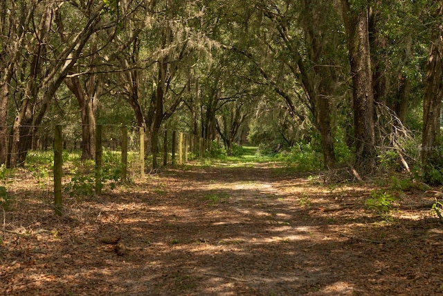 1474 W Jackson Hill Ct, Lecanto, FL 34461 - photo 44