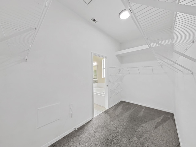 spacious closet featuring carpet flooring and visible vents