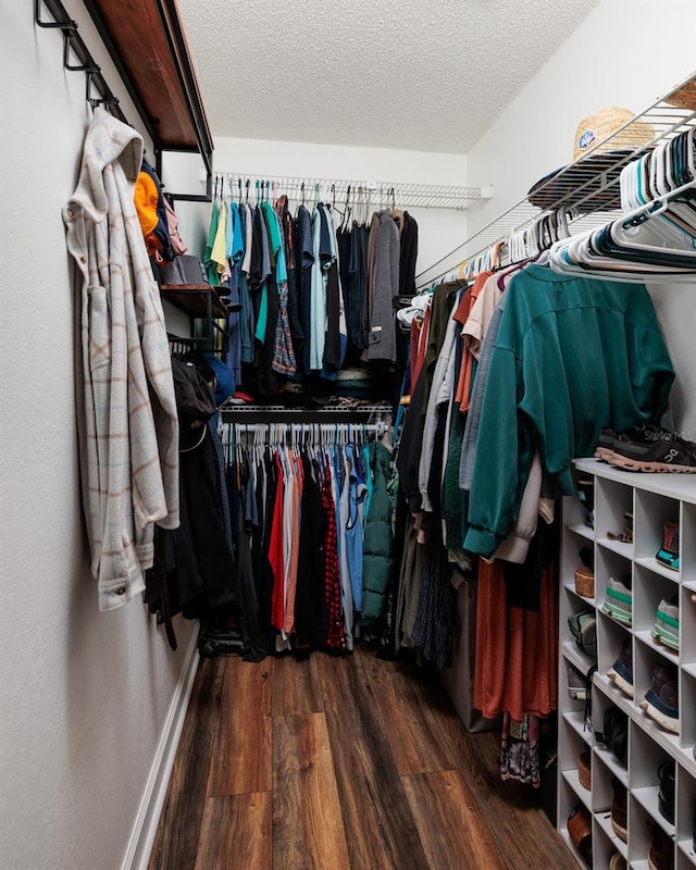 spacious closet with wood finished floors