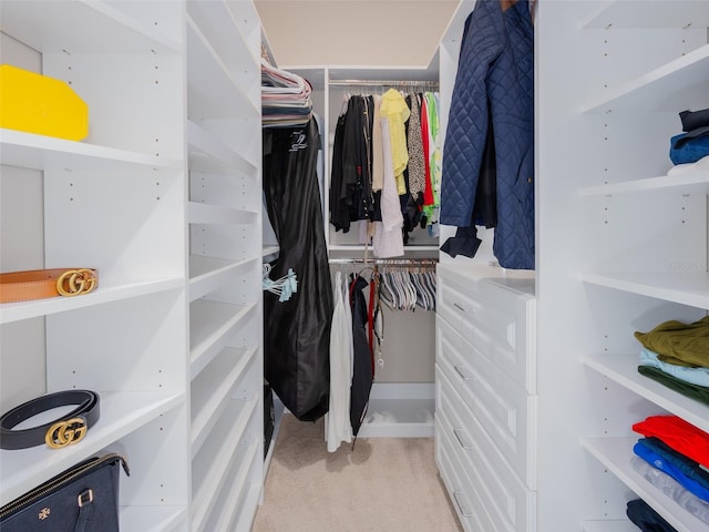 walk in closet with light colored carpet