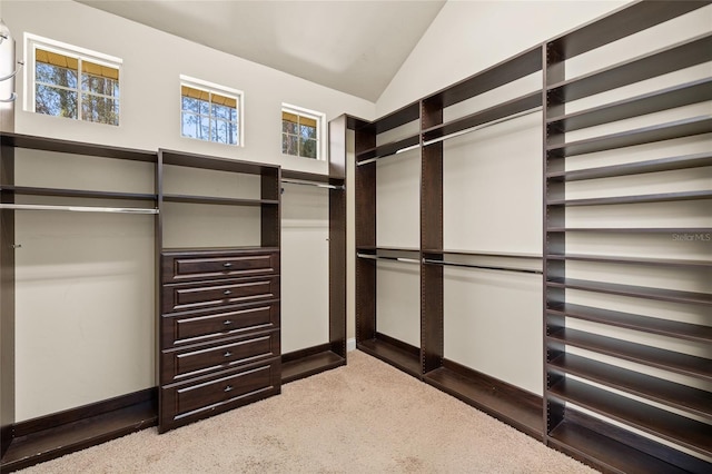 spacious closet with carpet floors and vaulted ceiling