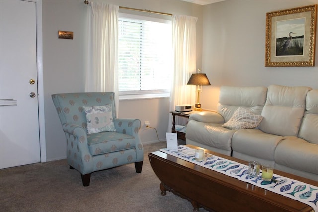 living room with carpet floors