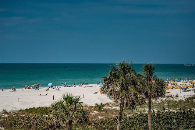 water view with a view of the beach