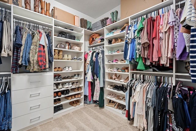 spacious closet featuring carpet