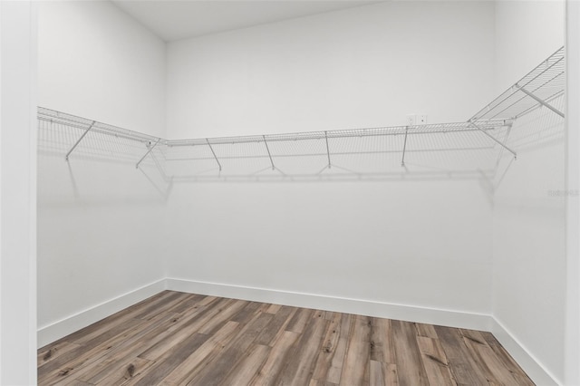 spacious closet featuring wood finished floors