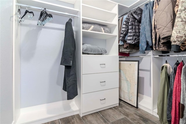 spacious closet featuring wood finished floors