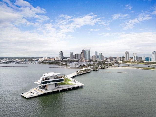 water view featuring a dock and a city view