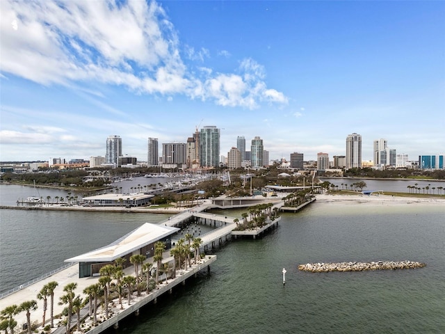 property view of water featuring a city view