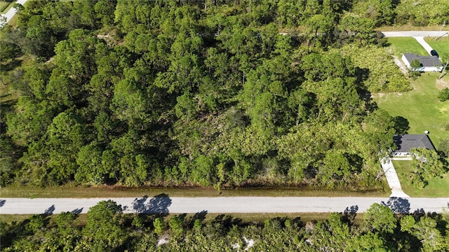 541 Embracer St NW, Lake Placid FL, 33852 land for sale