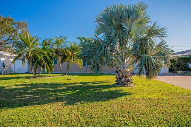 view of yard with decorative driveway