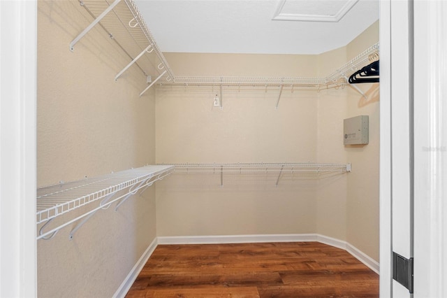 walk in closet featuring wood finished floors