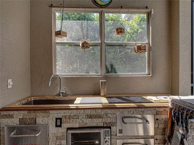 interior details featuring a toaster, a sink, and a textured wall