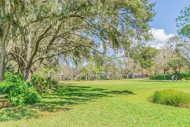 view of yard with volleyball court