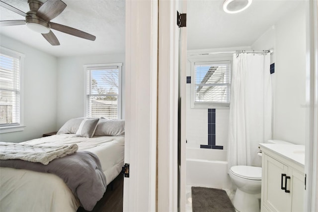 bedroom with a ceiling fan and multiple windows