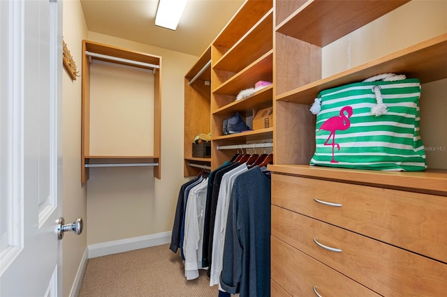 walk in closet featuring carpet floors