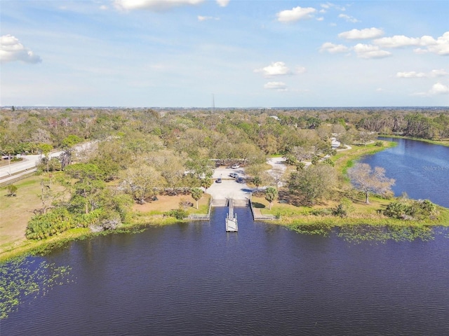 aerial view featuring a water view and a forest view