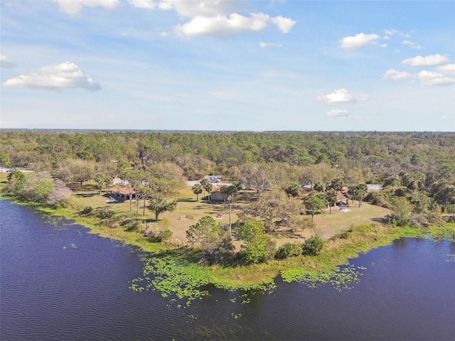 aerial view with a water view and a view of trees