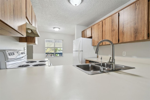 kitchen featuring electric stove, light countertops, freestanding refrigerator, a sink, and under cabinet range hood