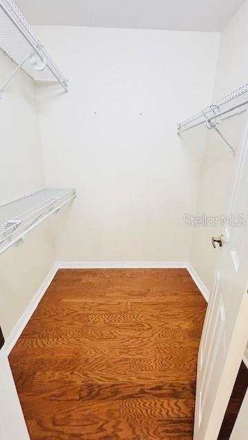 walk in closet featuring wood finished floors