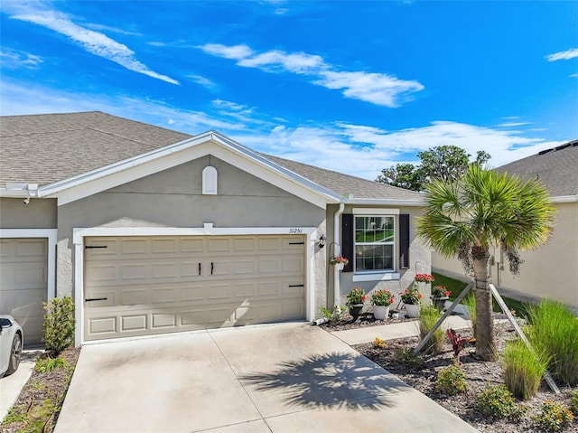 ranch-style house featuring an attached garage, a shingled roof, concrete driveway, and stucco siding