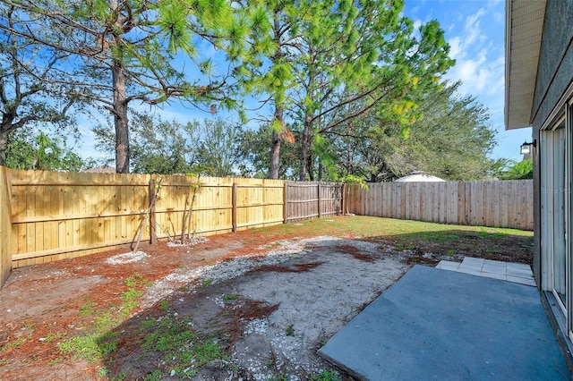 view of yard with a patio area and a fenced backyard